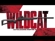 RIFLE WINCHESTER WILDCAT THREADED CAL. .22 LR 10 TIROS 18 OXIDADO