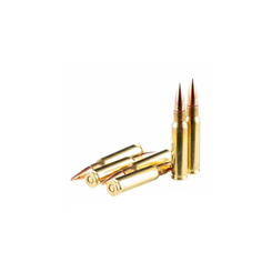 MUN CBC 223 REM ETPT 55 GR C