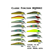 ISCA CLASSIC FUNCTION HQD 002 COR 009 SUMAX