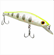ISCA CLASSIC FUNCTION HQD 002 COR 067 SUMAX