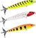 ISCA TNT 95MM COR 01