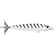 ISCA TNT 95 MM COR 36