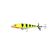 ISCA TNT 95MM COR 34